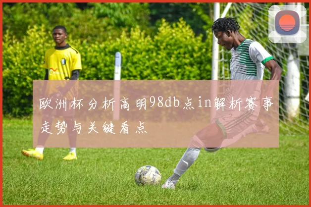 欧洲杯分析高明98db点in解析赛事走势与关键看点