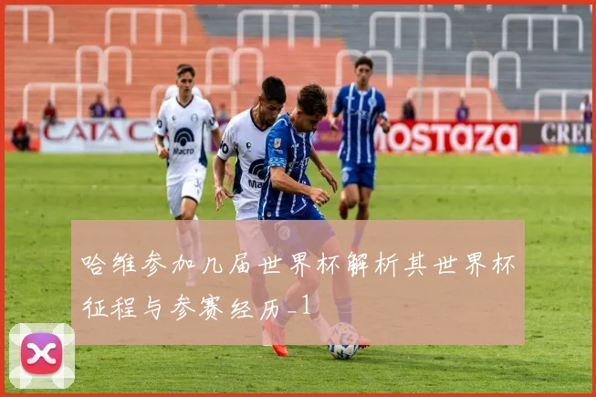 哈维参加几届世界杯解析其世界杯征程与参赛经历_1