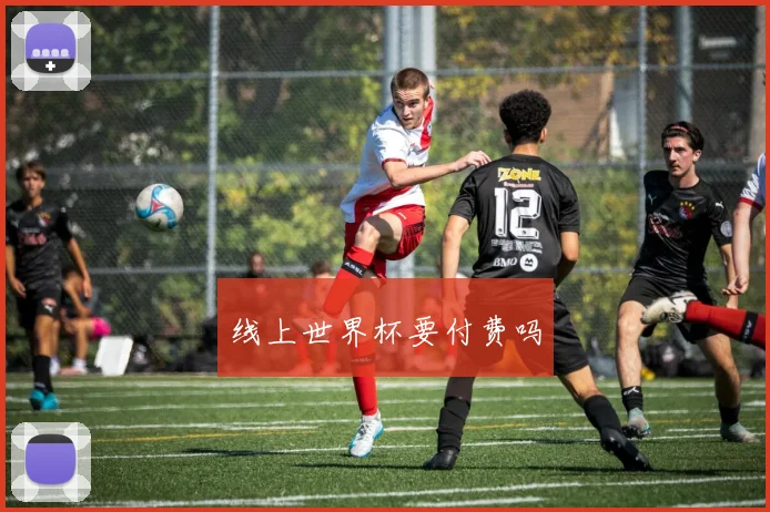 线上世界杯要付费吗