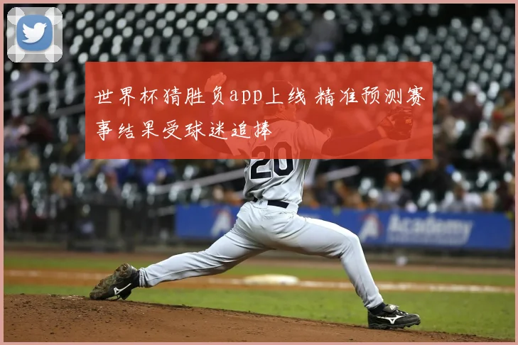 世界杯猜胜负app上线 精准预测赛事结果受球迷追捧