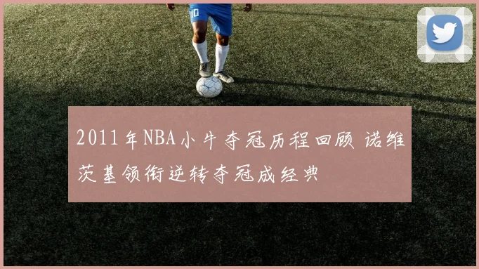 2011年NBA小牛夺冠历程回顾 诺维茨基领衔逆转夺冠成经典