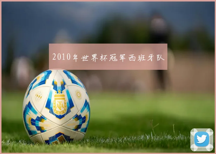 2010年世界杯冠军西班牙队