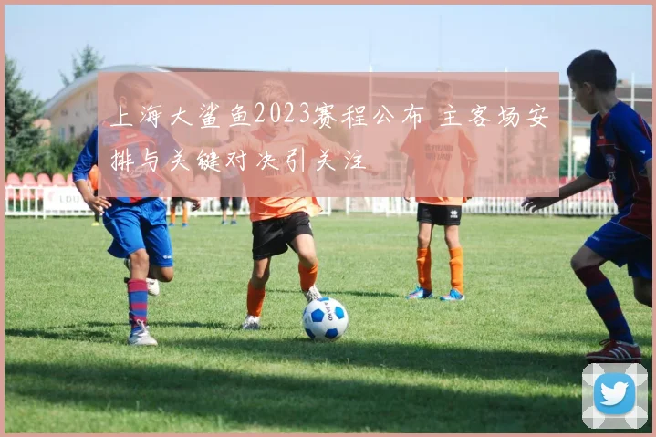 上海大鲨鱼2023赛程公布 主客场安排与关键对决引关注